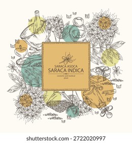 Hintergrund mit Saraca asoca: Asocapflanze, Asoca-Blumen und Saraca-Asoca-Barsch. Saraca indica. Kosmetik und Medizin. Handgezeichnete Vektorgrafik