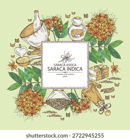 Fondo con saraca asoca: planta de saraca asoca, flores de asoca y saraca asoca barc. Saraca indica. Cosméticos y planta médica. Vector dibujado a mano ilustración