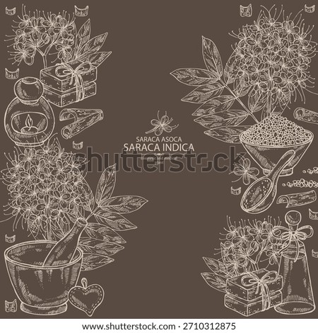 Background with saraca asoca: saraca asoca plant, asoca flowers and saraca asoca barc. Saraca indica. Cosmetics and medical plant. Vector hand drawn illustration