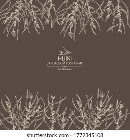Background with sargassum fusiform: hijiki seaweed, sea kale. Hijiki. Green algae. Edible seaweed. Vector hand drawn illustration.
