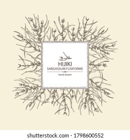 Background with sargassum fusiform: hijiki seaweed, sea kale. Hijiki. Green algae. Edible seaweed. Vector hand drawn illustration.