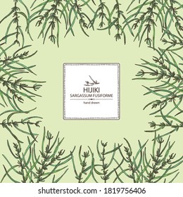 Background with sargassum fusiform: hijiki seaweed, sea kale. Hijiki. Green algae. Edible seaweed. Vector hand drawn illustration.