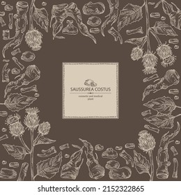 Background with saussurea costus: leaves, costus flowers, plant and saussurea costus roots. Dolomiaea costus. Saussurea lappa. Cosmetic, perfumery and medical plant. Vector hand drawn illus