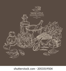 Background with saussurea laniceps: plant, snow lotus flowers, leaves, bath salt, soap and beauty products. Limnanthes alba. Cosmetic, perfumery and medical plant. Vector hand drawn illustration