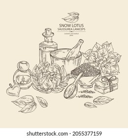 Background with saussurea laniceps: plant, snow lotus flowers, leaves, bath salt, soap and beauty products. Limnanthes alba. Cosmetic, perfumery and medical plant. Vector hand drawn illustration