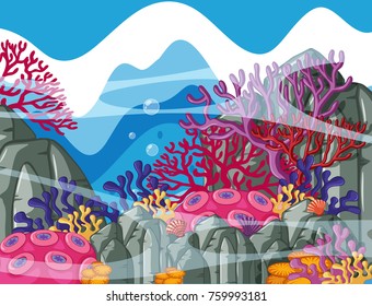 Background scene with colorful coral reef underwater illustration