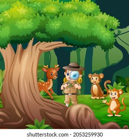 Background scene with explorer boy and animals in the jungle