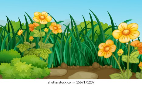 Background scene with flowers in garden illustration