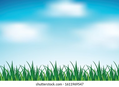 Background scene with green grass and blue sky illustration