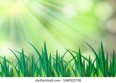 Background scene with green grass illustration