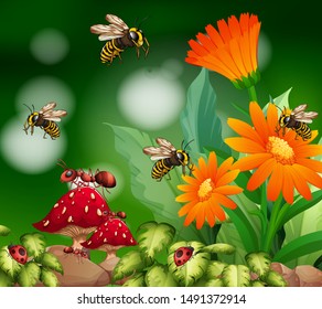 Background scene with insects in garden illustration