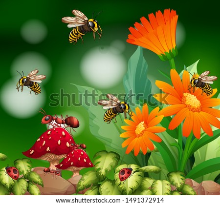 Image, Stock Photo Daisies in a small white vase on a stone border