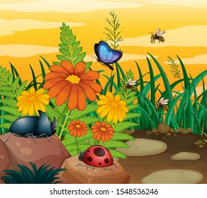 Background scene with insects in the park illustration
