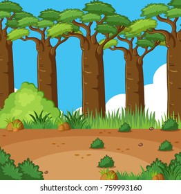Escena de fondo con muchos árboles en la ilustración de campo
