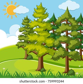 Background scene with pine trees on the field illustration
