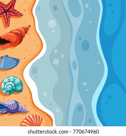Background scene with seashells on beach illustration