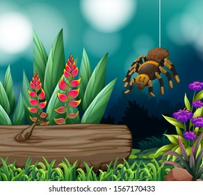 Background scene with spider in the woods illustration