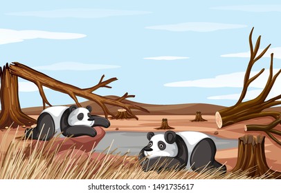 Background scene with two pandas dying illustration