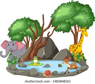 Background scene of wild animals and pond illustration