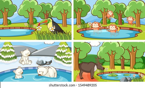 Background scenes of animals in the wild illustration