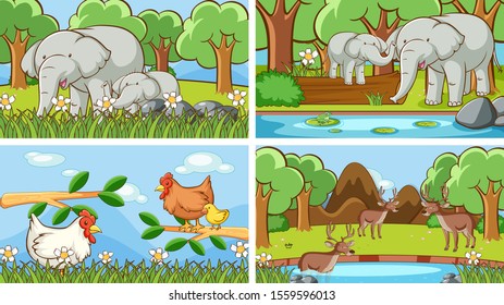 Background scenes of animals in the wild illustration