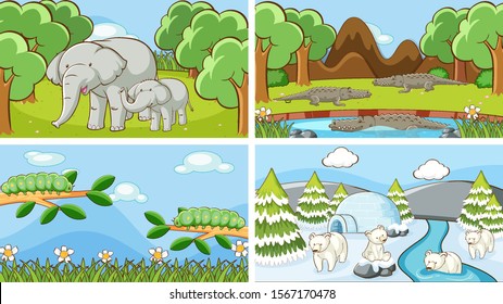 Background scenes of animals in the wild illustration
