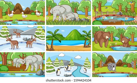 Background scenes of animals in the wild illustration