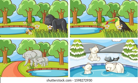 Background scenes of animals in the wild illustration