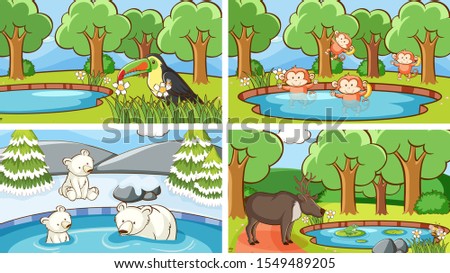 Background scenes of animals in the wild illustration