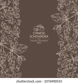 Background with schisandra chinensisi: schisandra branch with leaves and berries. Magnolia vine berries. Cosmetics and medical plant. Vector hand drawn illustration.
