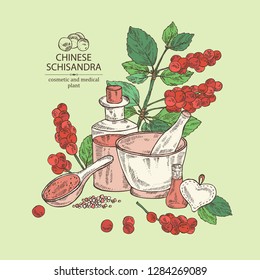 Background with schisandra chinensisi: schisandra branch with leaves and berries, soap and bath salt . Cosmetic, perfumery and medical plant. Vector hand drawn illustration