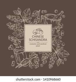Background with schisandra chinensisi: schisandra branch with leaves and berries, soap and bath salt . Cosmetic, perfumery and medical plant. Vector hand drawn illustration