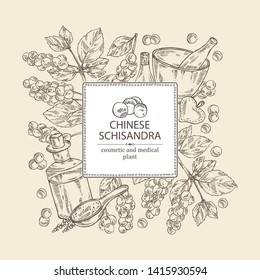 Background with schisandra chinensisi: schisandra branch with leaves and berries, soap and bath salt . Cosmetic, perfumery and medical plant. Vector hand drawn illustration