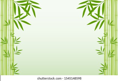 Background screensaver with green bamboo and leaves. Bamboo isolated on white. Vector illustration of bamboo texture Isolated on a white background. Vector.