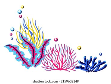 Background with sea algae and corals. Marine life aquarium and sea flora.