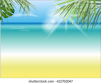 Background with sea, beach and palms
