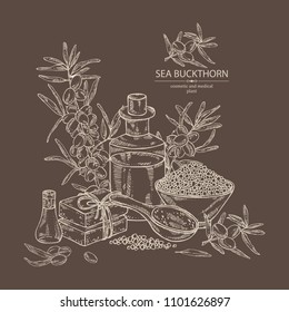 Background with sea buckthorn:  branch of sea buckthorn, berries and leaves. Oil, soap and bath salt . Cosmetics and medical plant. Vector hand drawn illustration