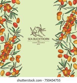 Background with sea buckthorn: branch of sea buckthorn, berries and leaves. Cosmetic and medical plant. Vector hand drawn illustration. 