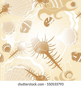 background with sea shells (oyster, spiral shell, mussel, scallop)