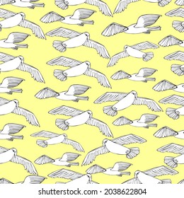 Background with seagulls, many birds, sky. Sea bird. Coloring book for children and adults. For textiles, wallpaper, paper. Handmade graphics, isolate. 