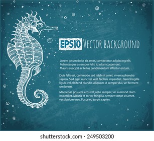 Background with seahorse and place for your text on blue chalkboard