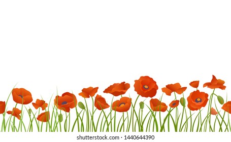 Background seamless extendable to endless pattern of red poppy flowers in grass. Vector Isolated illustration.