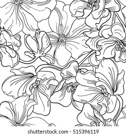 Background. Seamless background. Vector. Flowers. Fine work. Black and white.