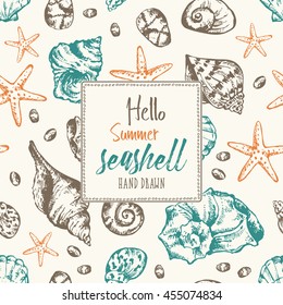 Background with seashell. hand drawn