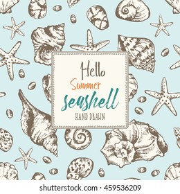 Background with seashell. hand drawn