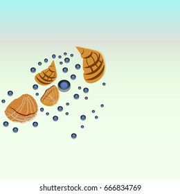 Background with seashell. hand drawn. circle decoration