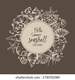 Background with seashell. Vector hand drawn illustration