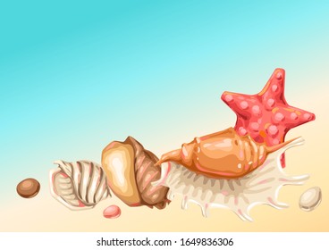 Background with seashells. Tropical underwater mollusk shells decorative illustration.