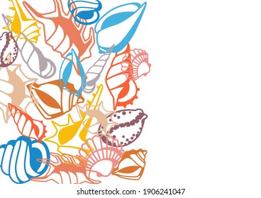 Background with seashells. Tropical underwater mollusk shells decorative illustration.