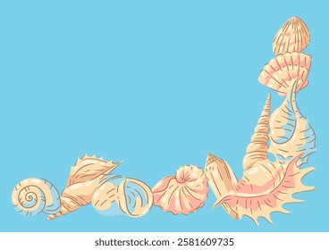 Background with seashells. Tropical underwater mollusk shells illustration.